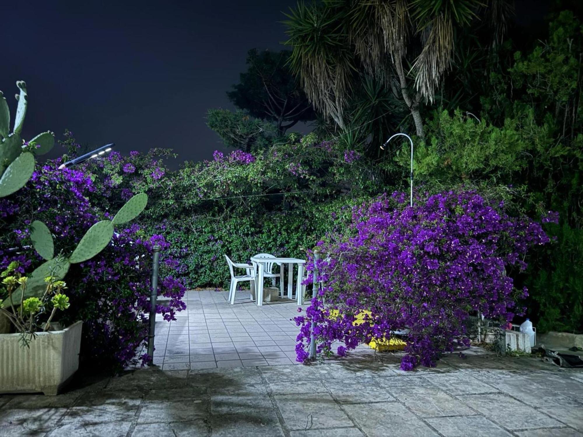 Villa Torretta - Mare Salento Marina di Lizzano Exterior photo