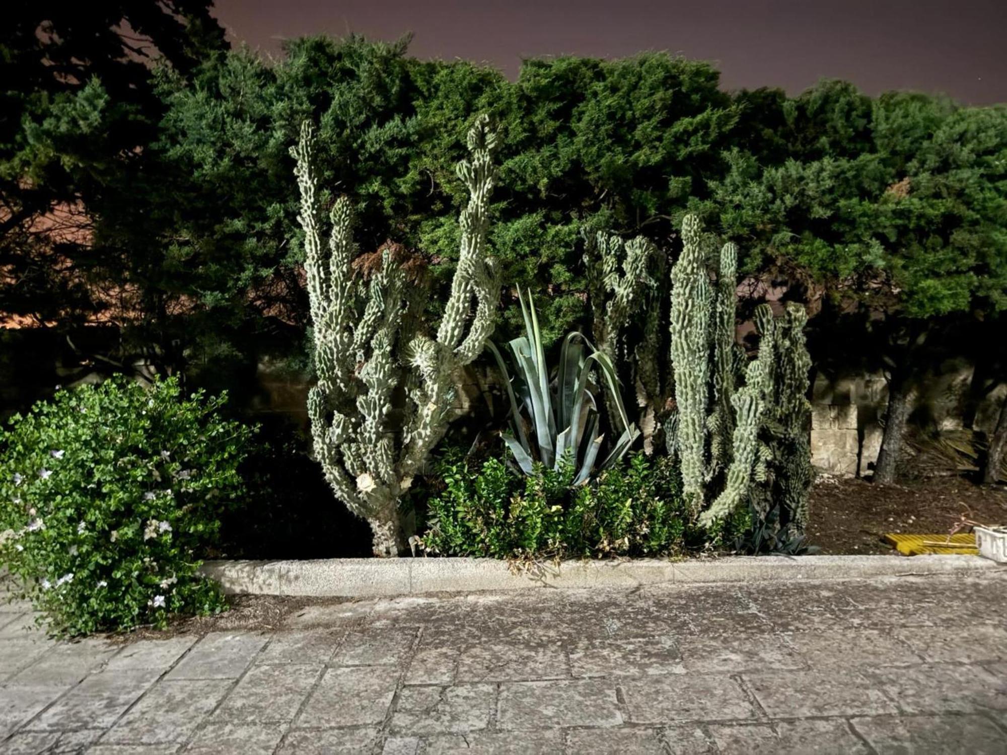 Villa Torretta - Mare Salento Marina di Lizzano Exterior photo