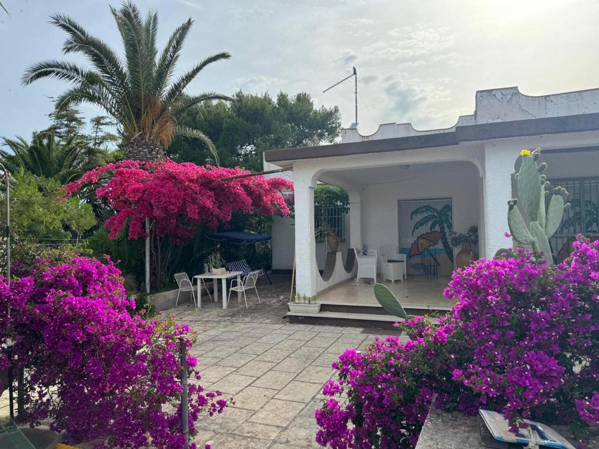 Villa Torretta - Mare Salento Marina di Lizzano Exterior photo